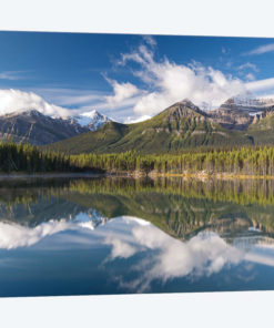 Herbert Lake Reflections