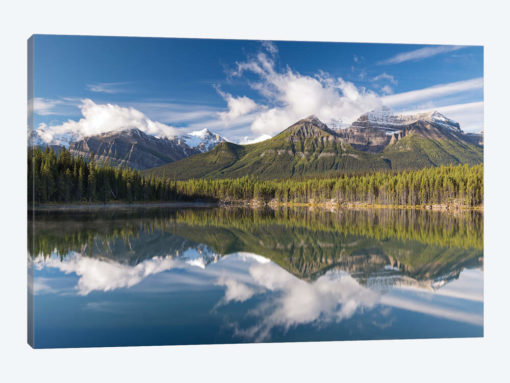 Herbert Lake Reflections