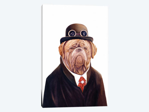 Dogue De Bordeaux