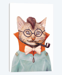Eclectic Cat