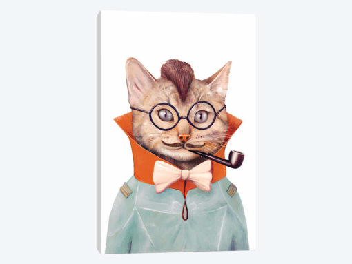 Eclectic Cat