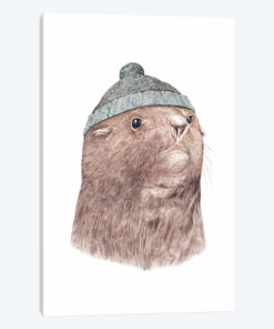 Fur Seal