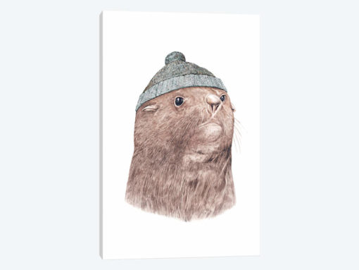 Fur Seal
