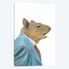 Grey Squirrel