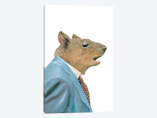 Grey Squirrel