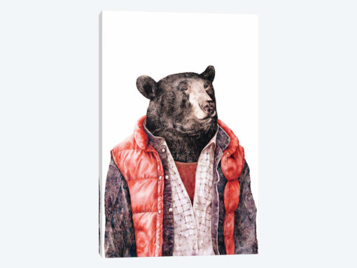 Black Bear
