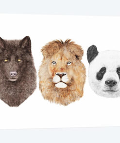 Lion Wolf And Panda