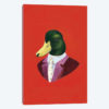 Mallard Duck