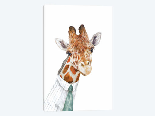 Mr Giraffe