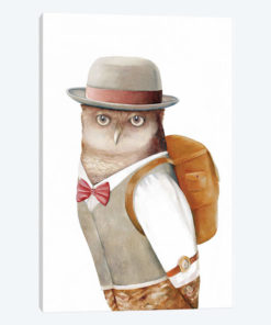 Owl Traveller