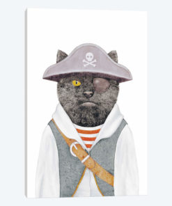 Pirate Cat