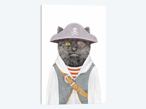 Pirate Cat