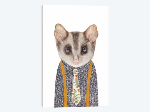 Possum