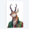 Pronghorn