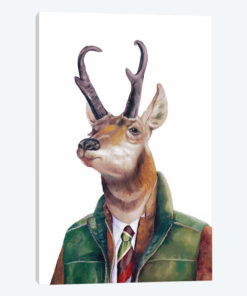 Pronghorn