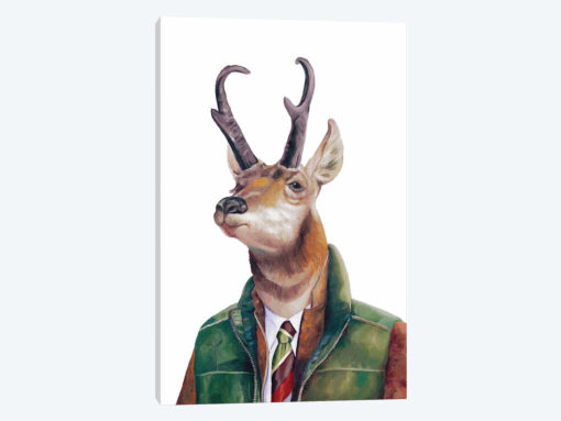 Pronghorn