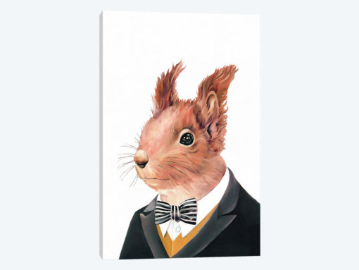 Red Squirrel