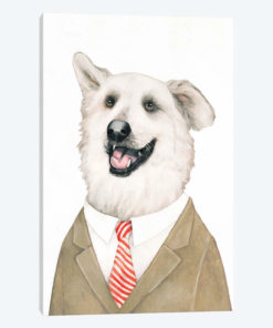Retriever