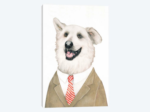 Retriever