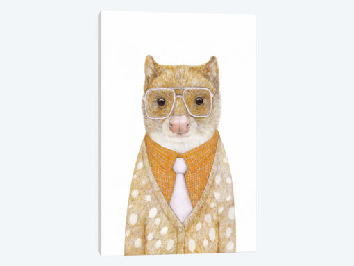 Spotted Quoll