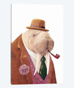 Walrus