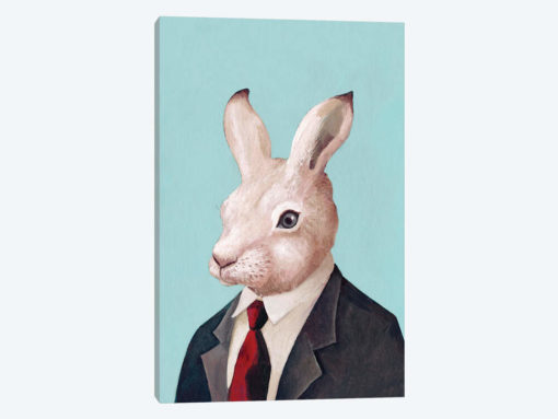 White Rabbit