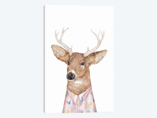 White-Tailed Deer