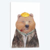 Brown Bear