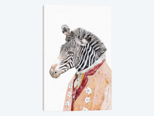 Zebra