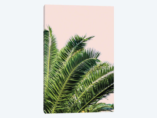 Tropical Leaves on Blush I