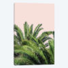 Tropical Leaves on Blush II