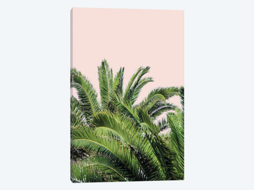 Tropical Leaves on Blush II