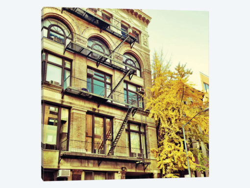Chelsea Afternoon I