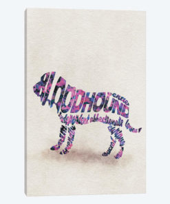 Bloodhound