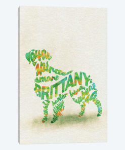 Brittany Spaniel
