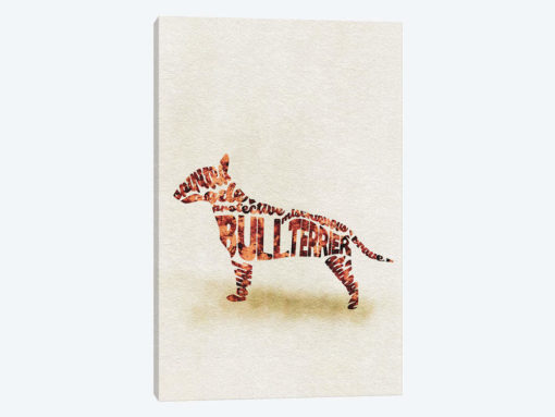 Bull Terrier
