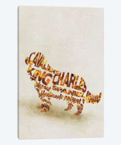 Cavalier King Charles Spaniel