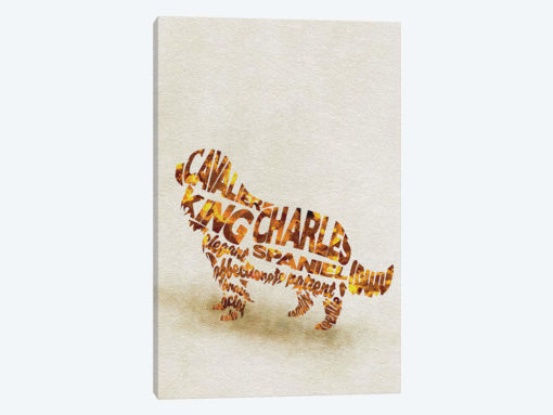 Cavalier King Charles Spaniel