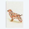 Cockerspaniel