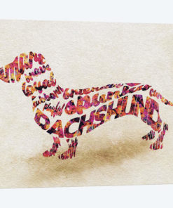 Dachshund