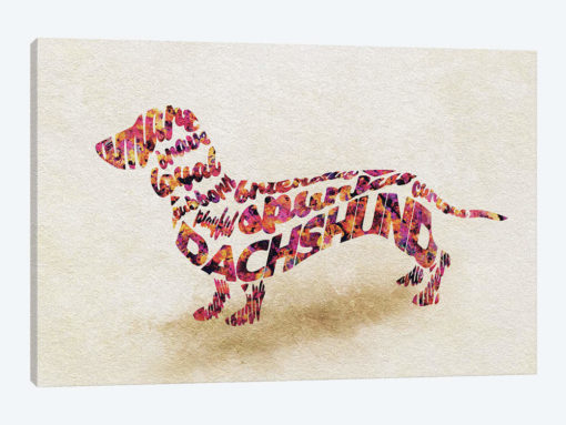 Dachshund