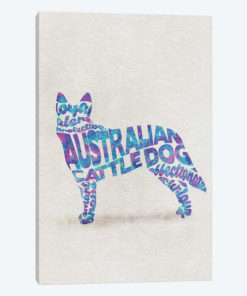 Australian Cattle Dog