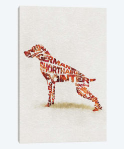 German Shorthaired Pointer