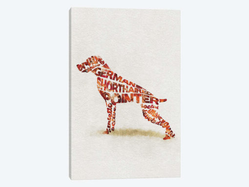 German Shorthaired Pointer