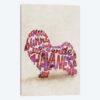 Havanese