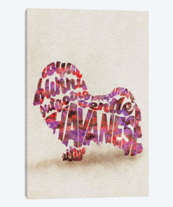 Havanese