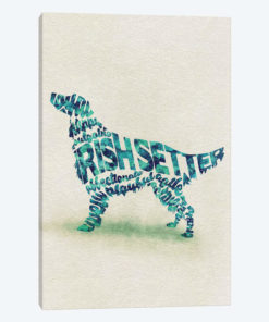 Irish Setter