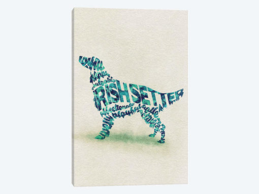 Irish Setter