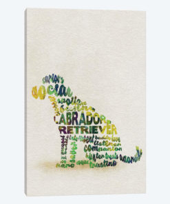 Labrador Retriever
