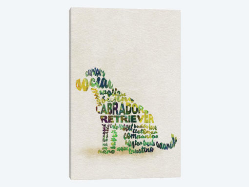 Labrador Retriever